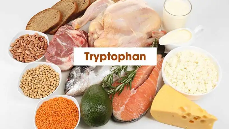 Những món ăn tốt nhất để có một giấc ngủ ngon