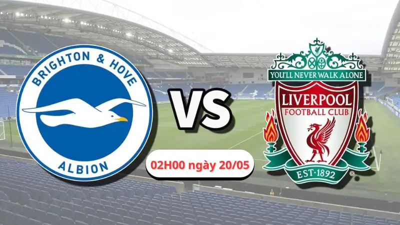 Nhận định trận Brighton vs Liverpool, 02H00 ngày 20/05