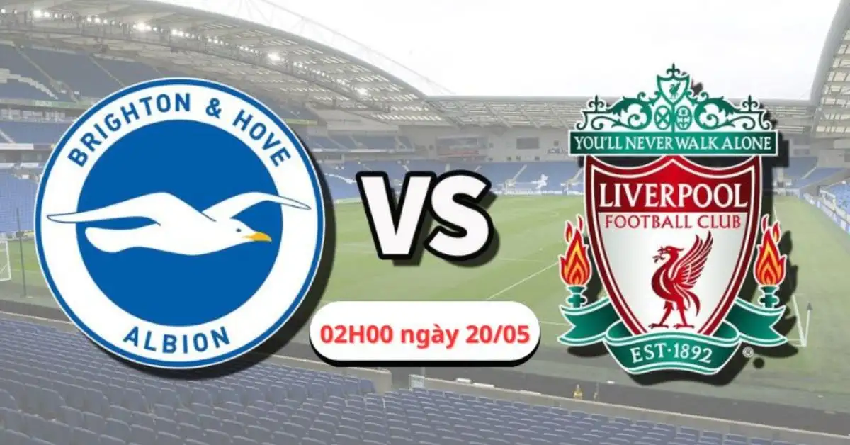 Nhận định trận Brighton vs Liverpool, 02H00 ngày 20/05