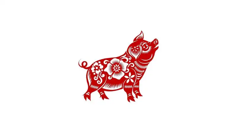 Tử vi 12 con giáp 13/06/2025: Dự báo vận mệnh, tài lộc