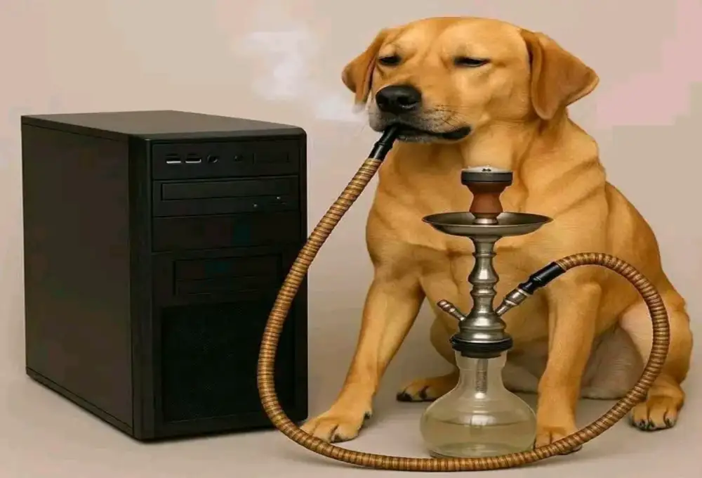 Con chó Cao Bằng bộ PC và hút shisha 