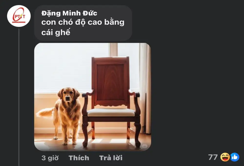 Meme Con chó Cao Bằng bộ PC hot trên mạng xã hội