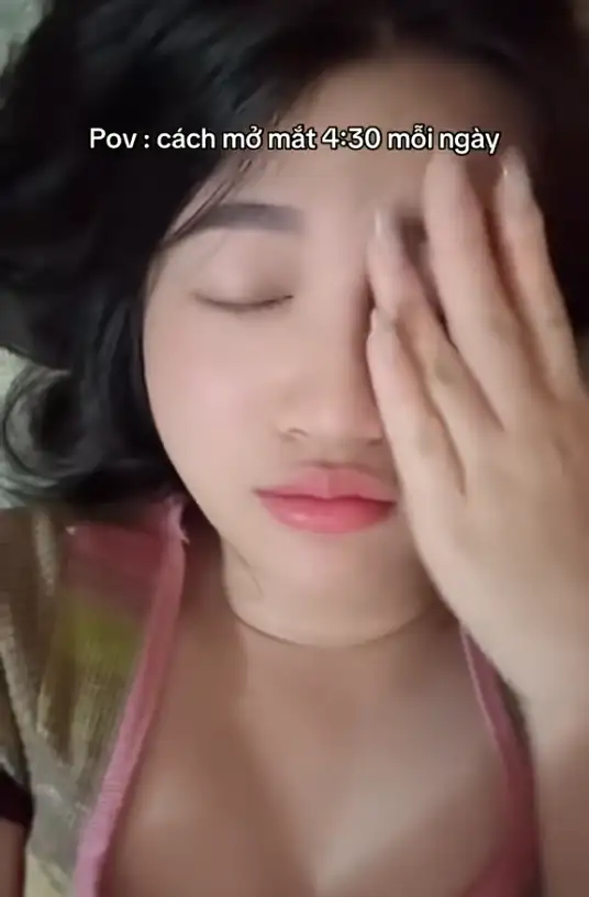 Thực Hư TikToker Quỳnh Mai Đang Nuôi Học Phí Lộ Clip 18+?